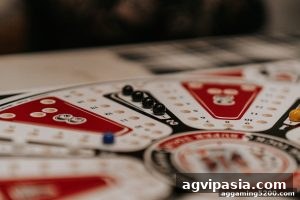 AG真人 agvipasia