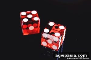 AG真人 agvipasia